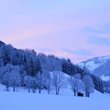 Doppelzimmer Herzogbauer Saalfelden Exterior foto